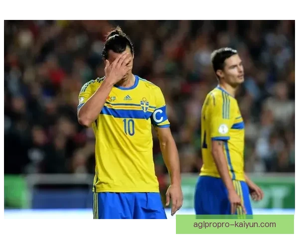 瑞典世界杯缺席原因分析及未来展望