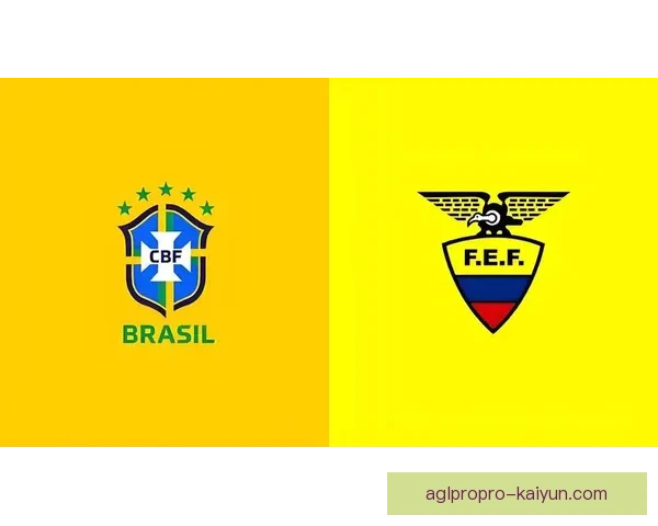 冰岛队防守纪录：欧洲杯与世预赛阶段失球数走势清晰